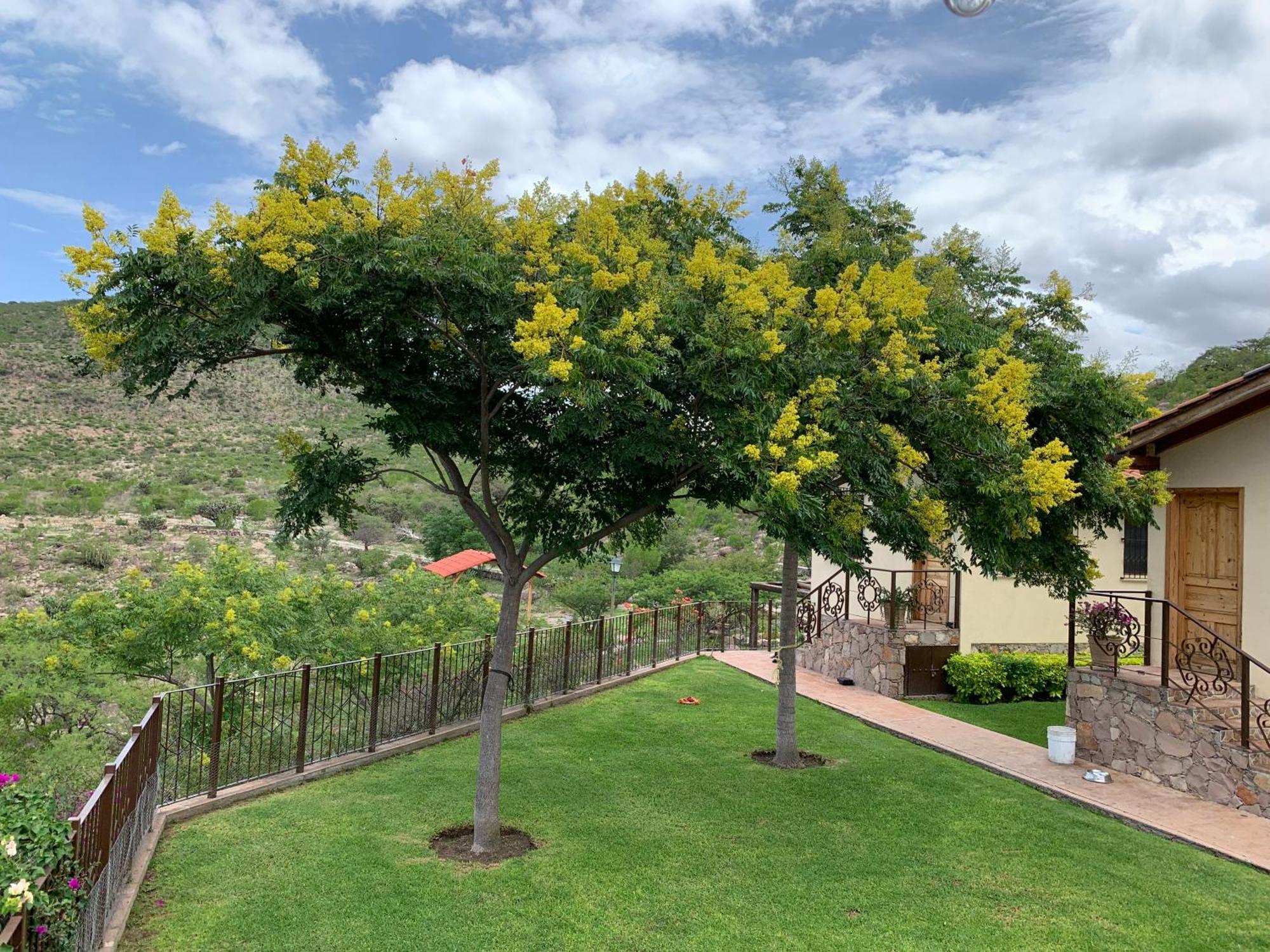 Villa Campestre La Soledad Colon ภายนอก รูปภาพ