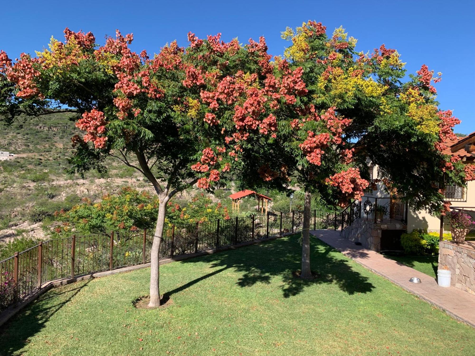 Villa Campestre La Soledad Colon ภายนอก รูปภาพ